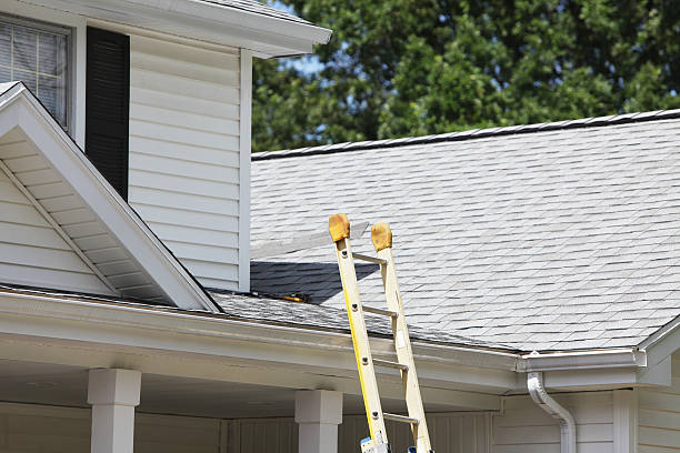 Best Stucco Siding  in Waynesville, NC
